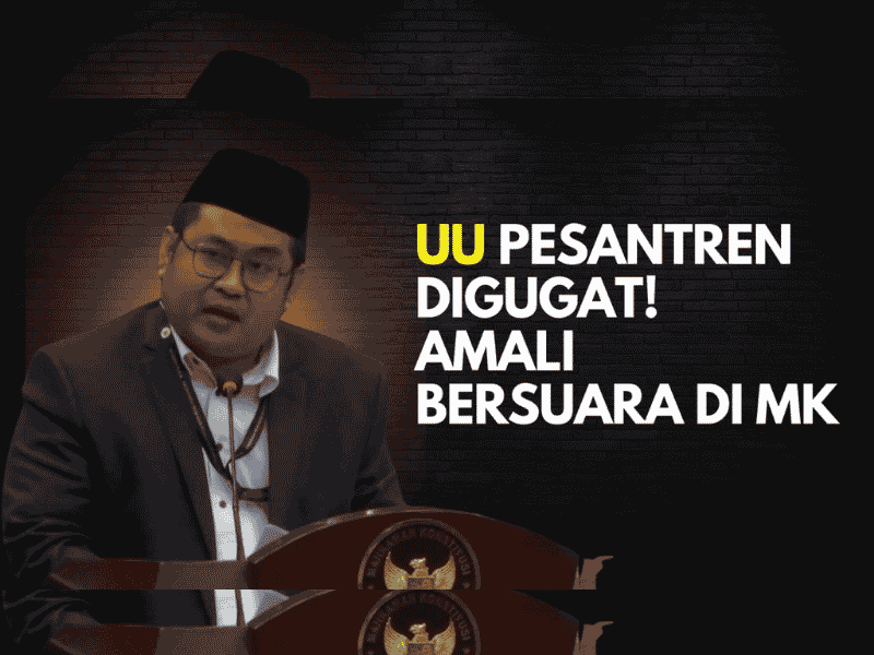 AMALI di Mahkamah Konstitusi